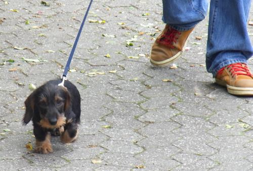 Image0004
