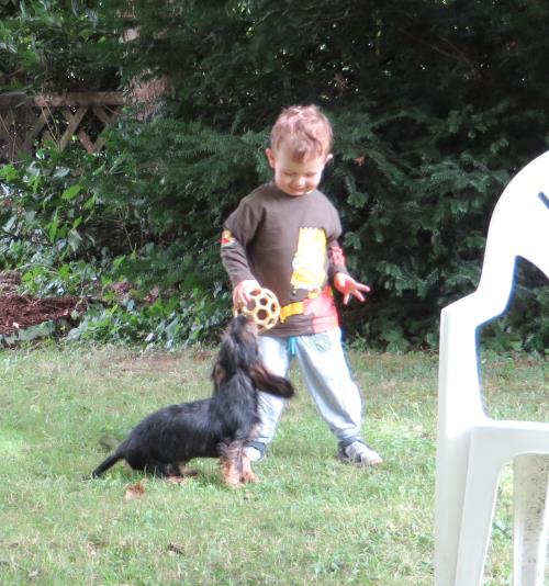 zusammen rennen und mit dem Ball spielen