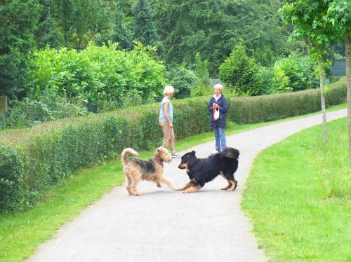 Benji und Xera