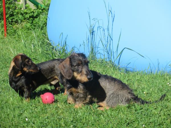 Verpassen wir da was?