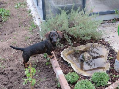 An der Wasserstelle