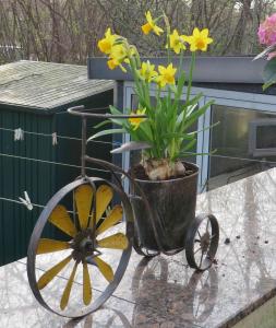 Blumen Fahrrad